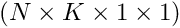 $ (N \times K \times 1 \times 1) $