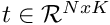 $ t\in \mathcal{R}^{N x K} $